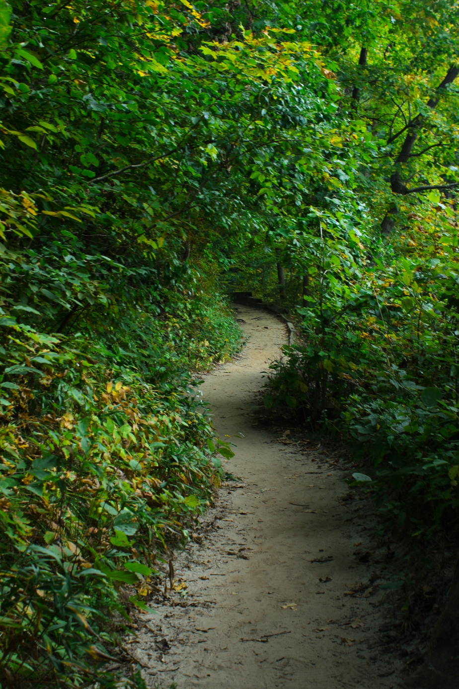 Starved Rock Trail